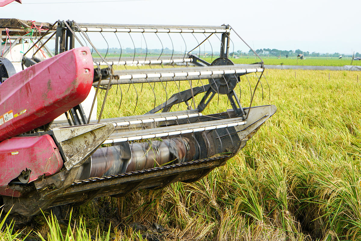 题目是对于我国南方地区实现自动化农业机械的研究的毕业论文