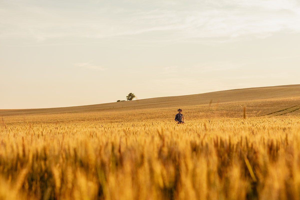 阅读下面的文字根据要求作文。一个不成熟的人的标志是他愿意为某种事业英勇地死去一个成熟的人的标志是他愿意为某种事业卑贱地活着。 《麦田里的守望者》对此你有怎样的思考写一篇议论文阐述你的看法要求论据使用准确论点明晰自拟标题不少于800字。