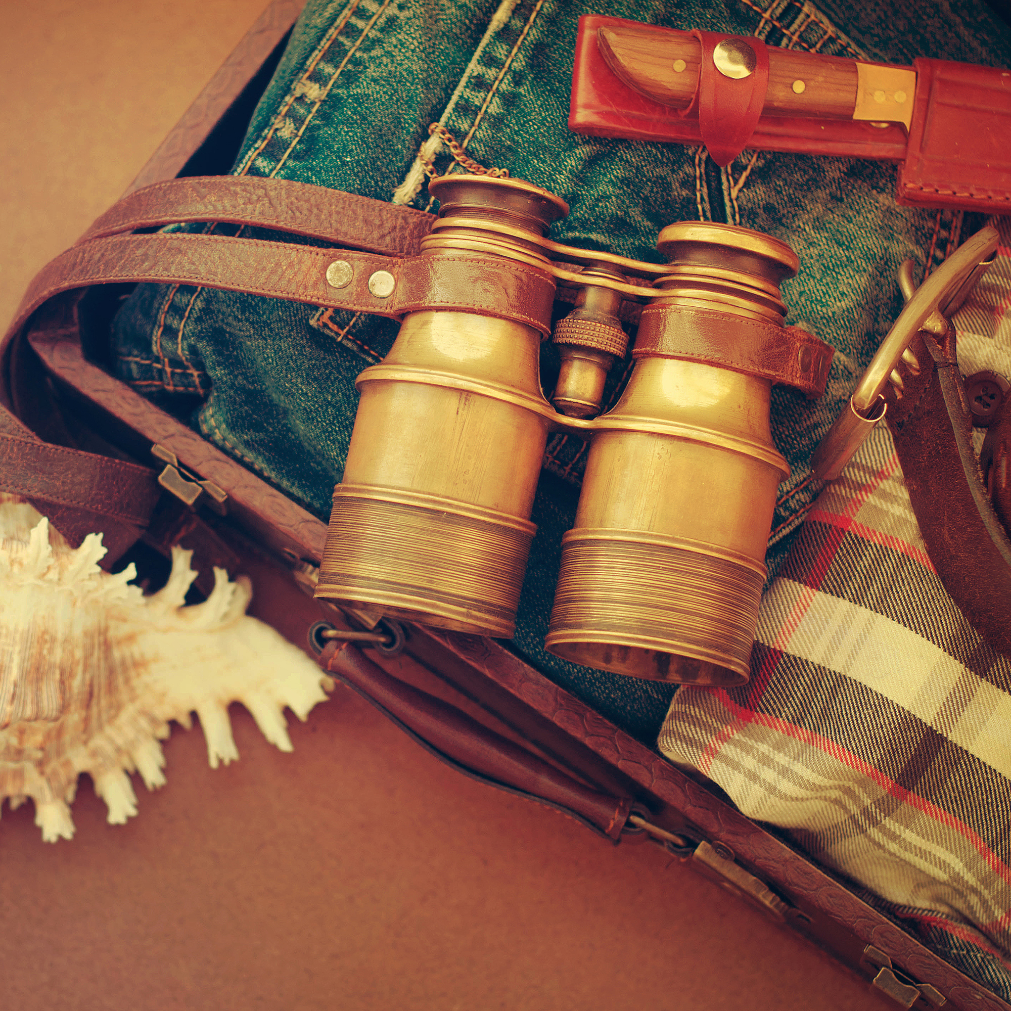 '瓛' 字的含义和解释 - 中文汉字查询