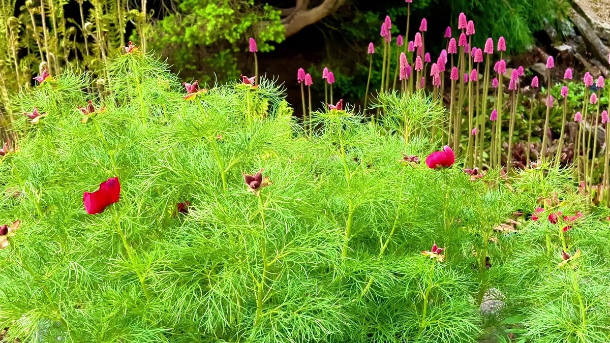 打磨2月到6月格写20字