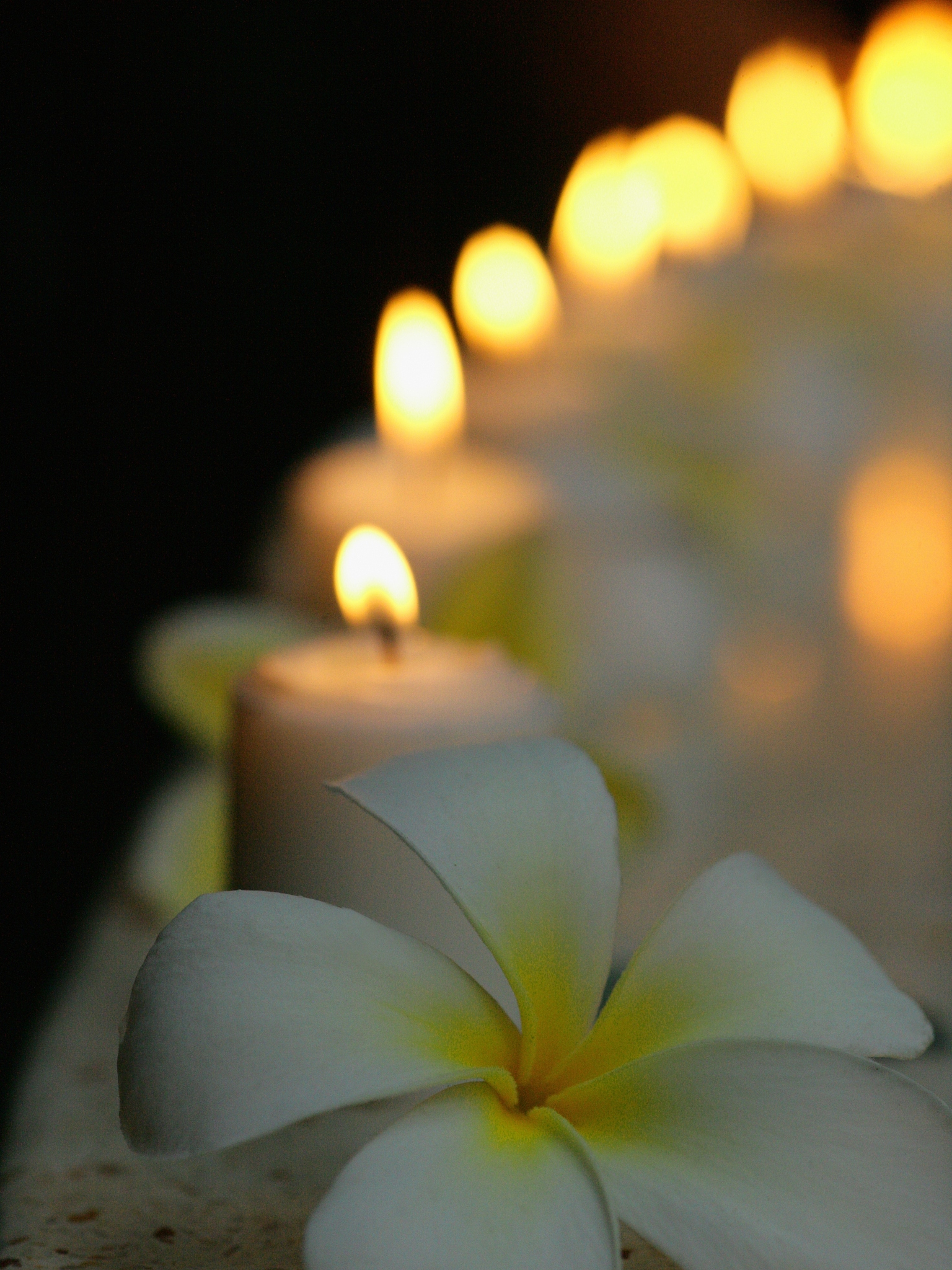 老人去世慰问语：节哀顺变，愿逝者安息