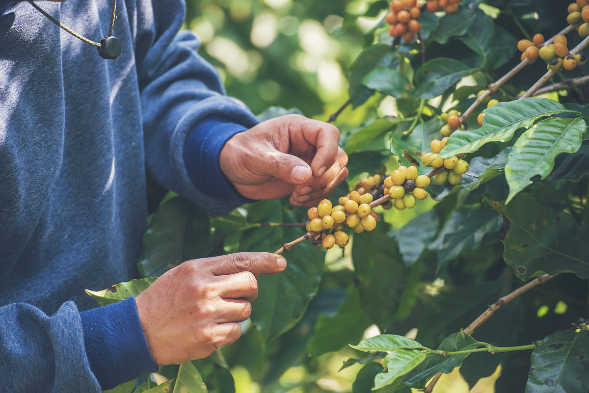 我现在是一名初三女孩写一篇700字的记叙文作文题目为读书实践收获并通过发生的某件事情使我从中要得到一些感悟与教育。不要写跟乐器、舞蹈相关的内容。