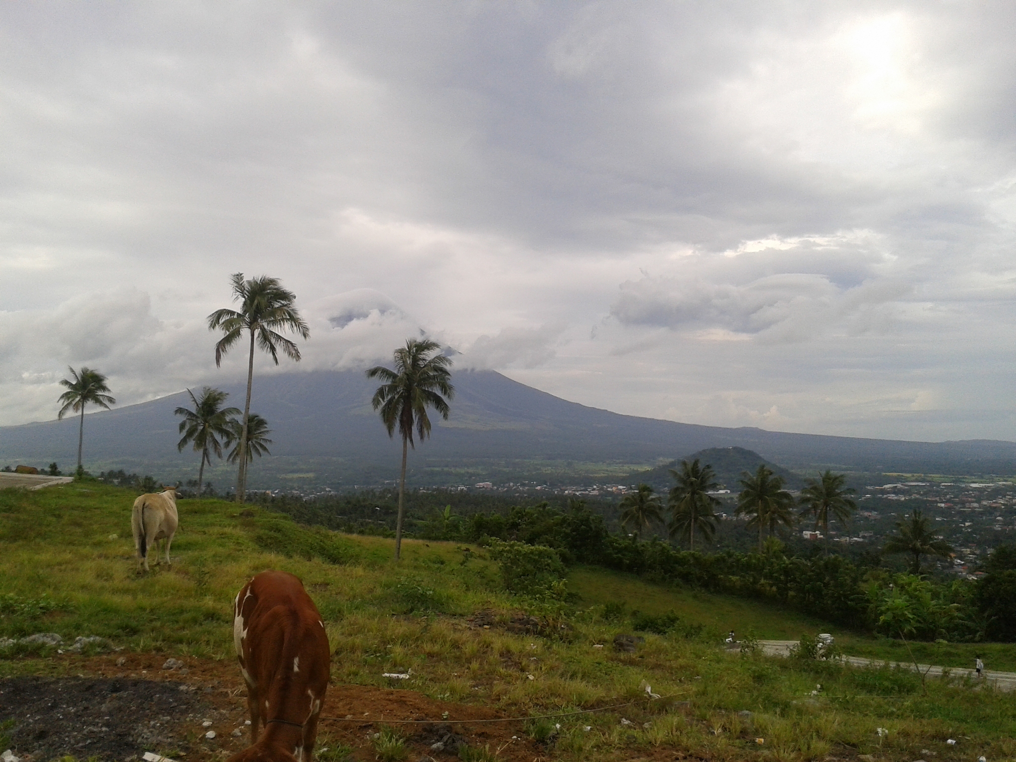 mountains