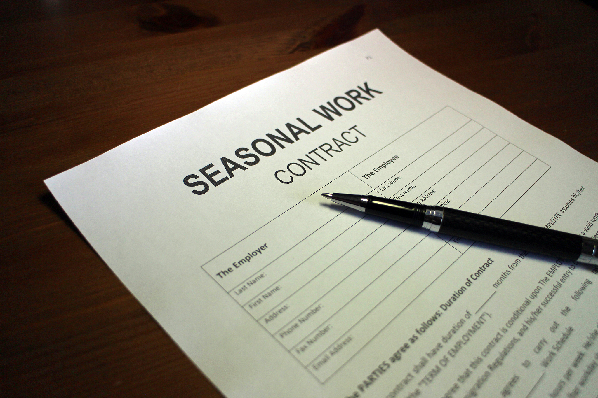 聘用合同变更书模板 - 免费下载