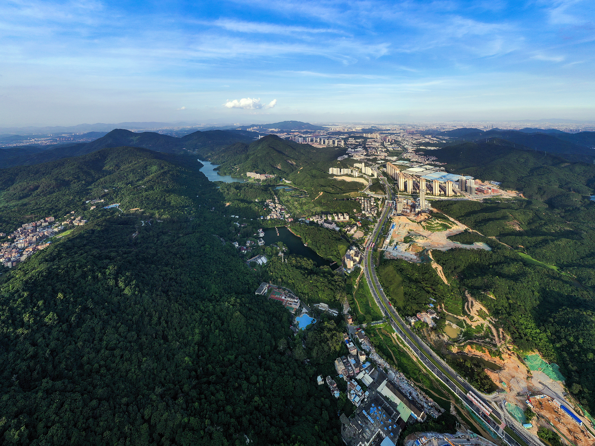 重庆市森林资源保护建议：统筹协调，减少过度损耗