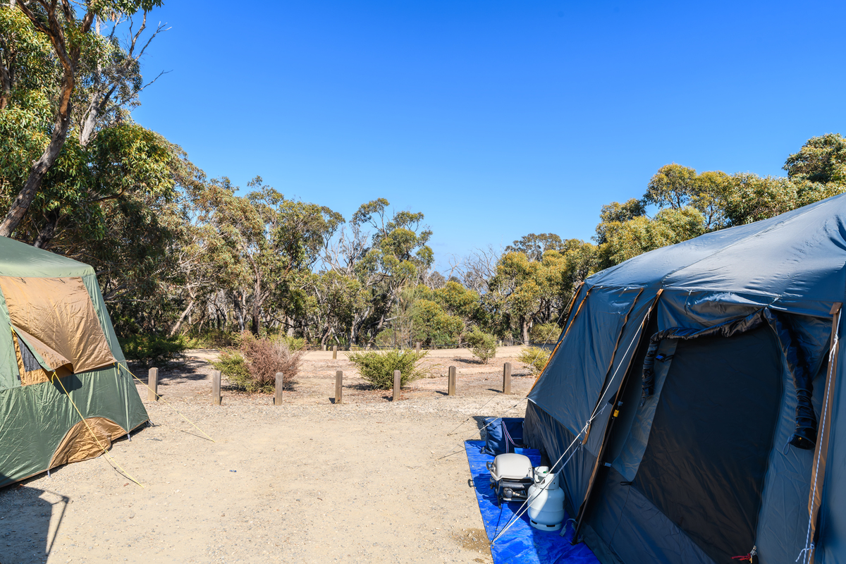 尔湾附近露营的地方有哪些？
