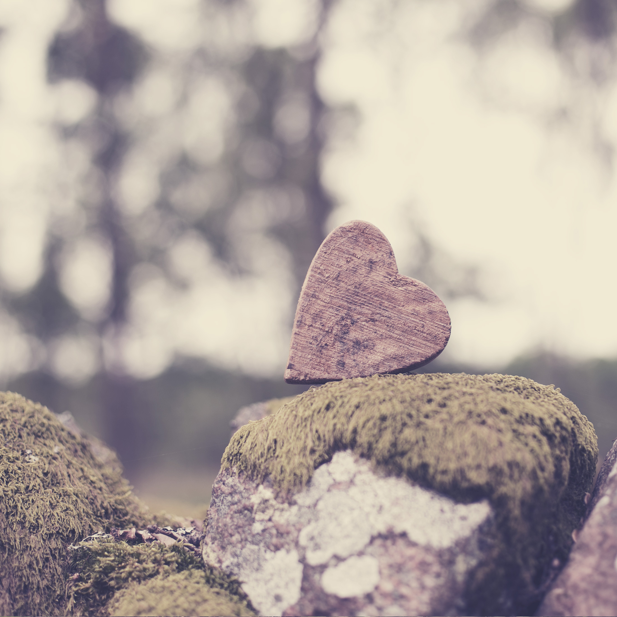 如何放下一个你爱的人：告别心碎的实用指南