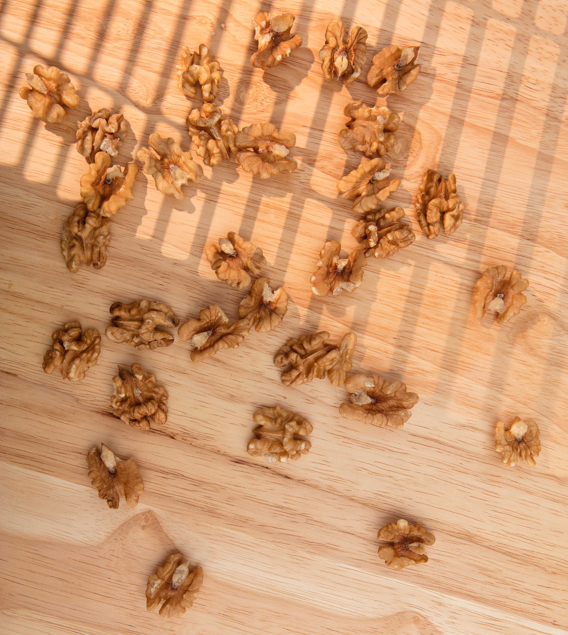 walnut kernels