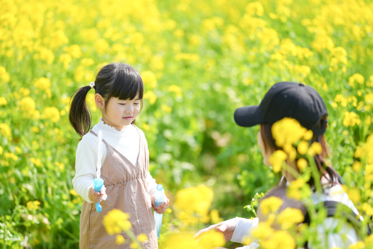 守护向日葵，奶奶和孩子的温暖故事