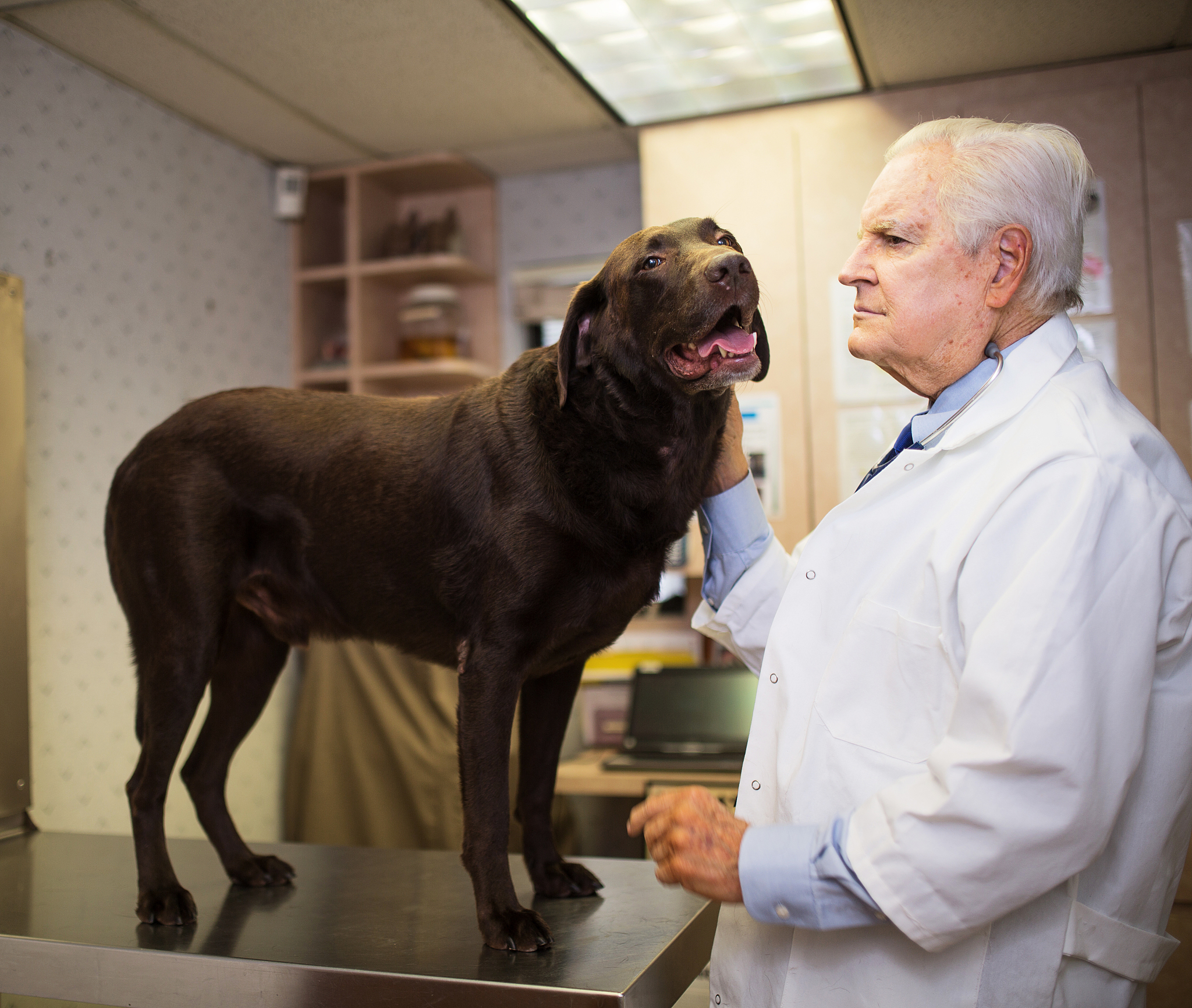 黑龙江农垦科技职业学院宠物养护与驯导专业好就业吗