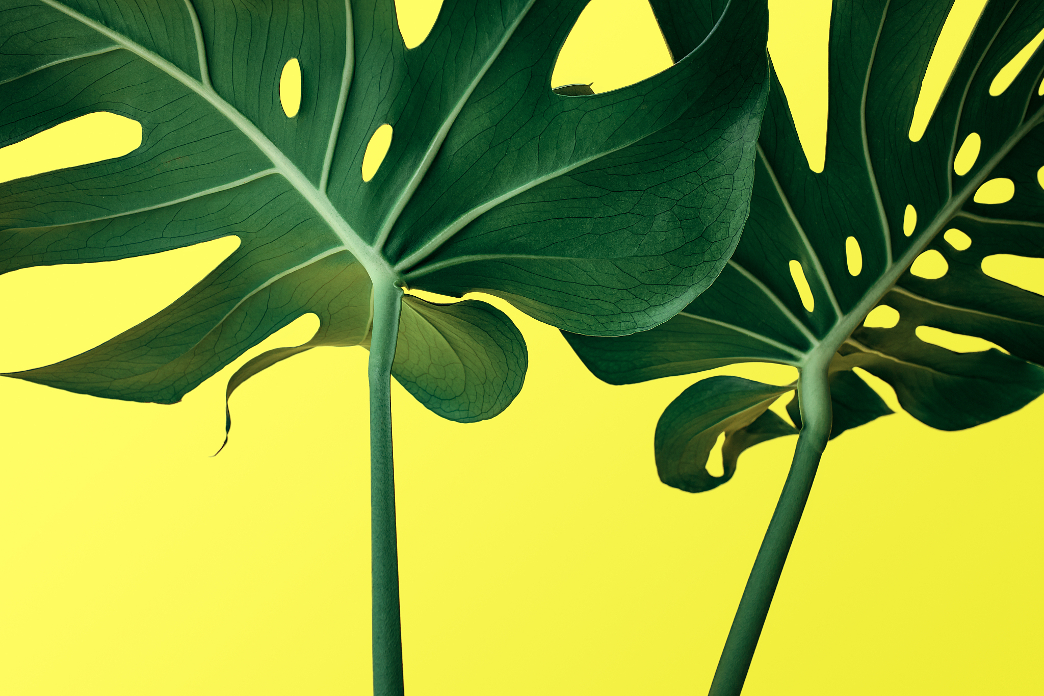 1200字关于你必须要懂的摄影小知识