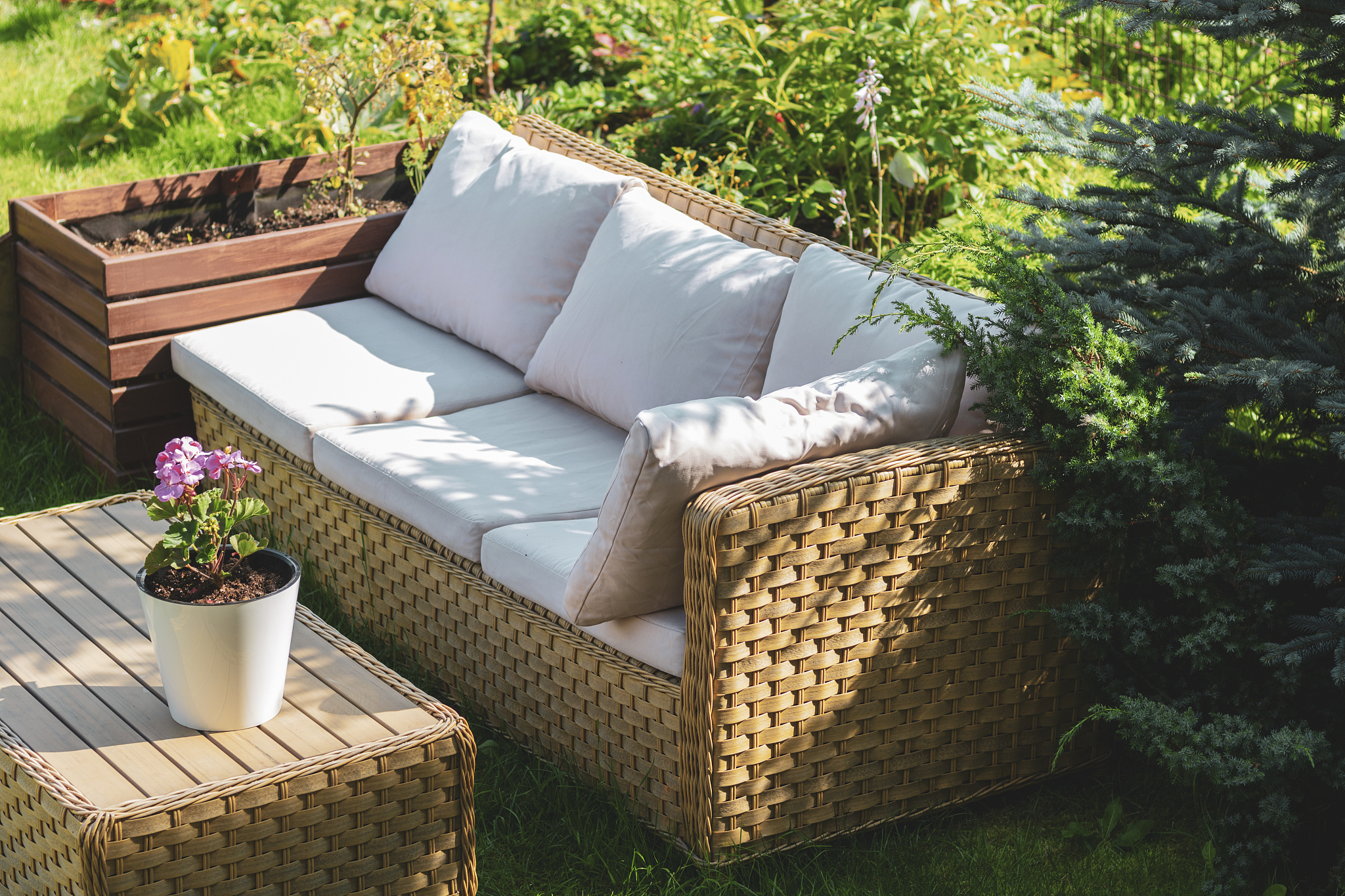 描述一段场景晴朗的天气有一片大草坪草坪上有一套户外沙发。