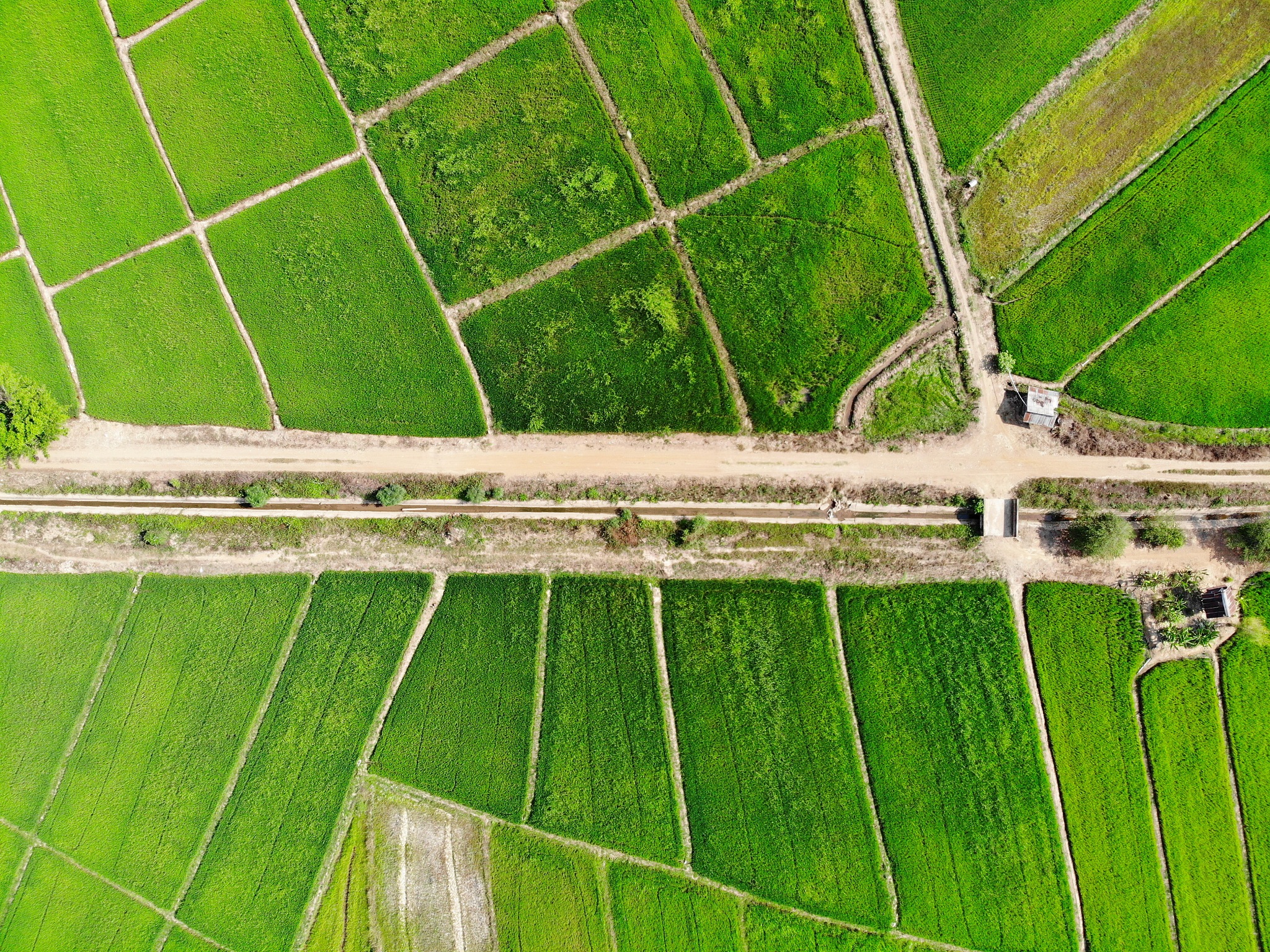 黑龙江生物科技职业学院无人机应用技术航拍、航测与遥感技术专业专业到底行不行设有哪些课程