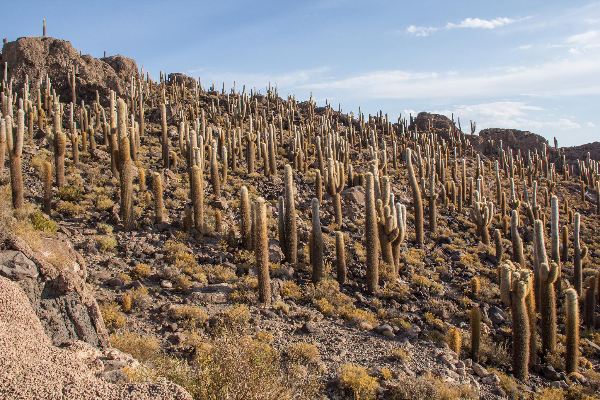 菏泽职业技术中等专业学校办学层次是什么