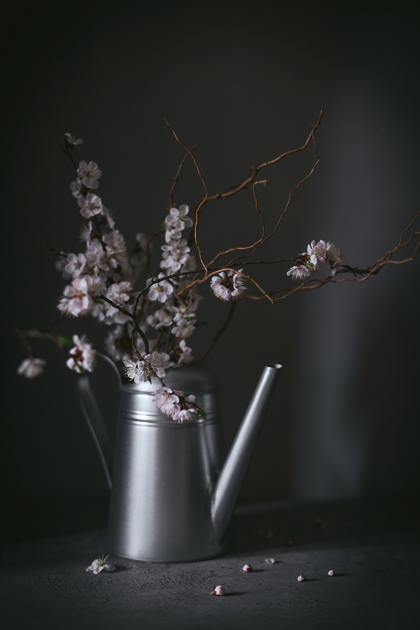 cherry flower