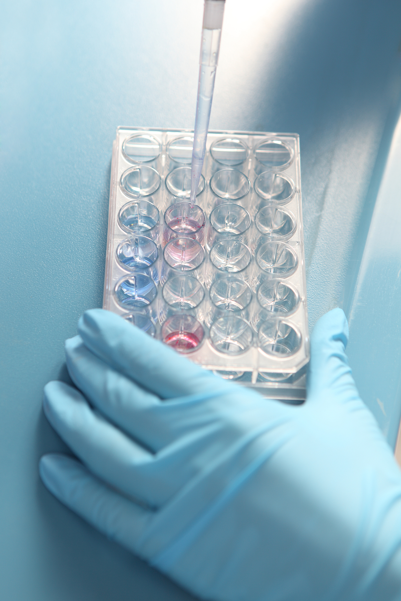 云南科技信息职业学院地址在哪里