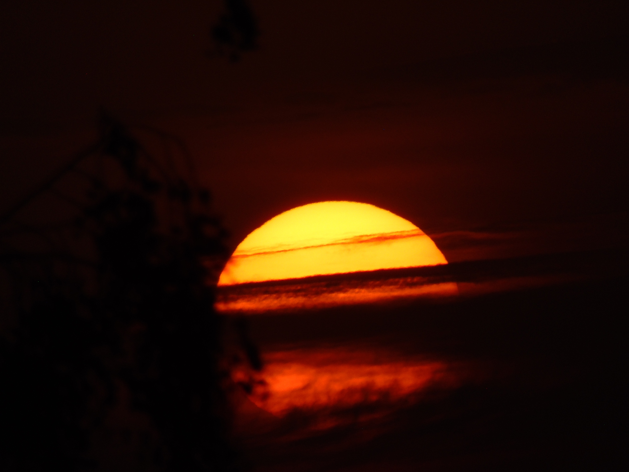 summer sunset