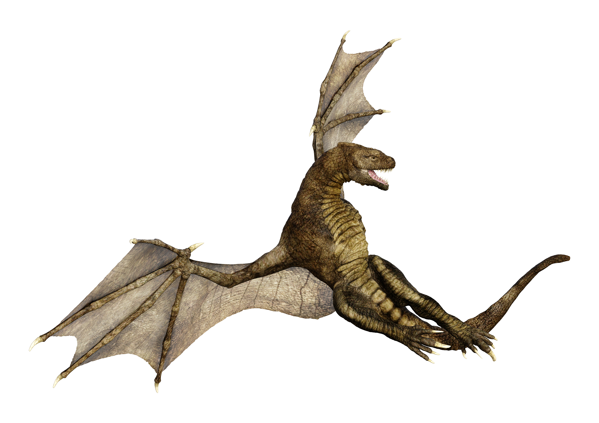 3d illustration fantasy dragon on white