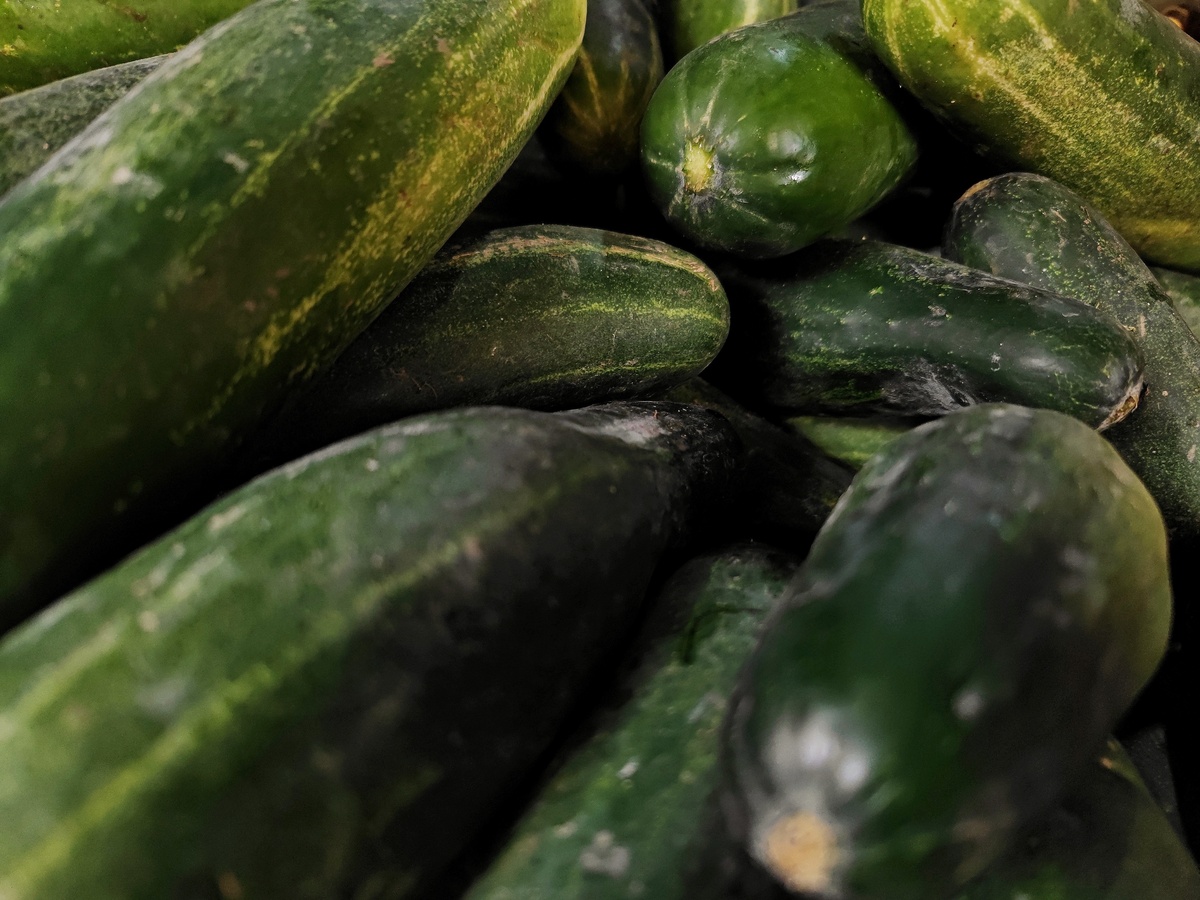 广西石瓜和冬瓜一样吗