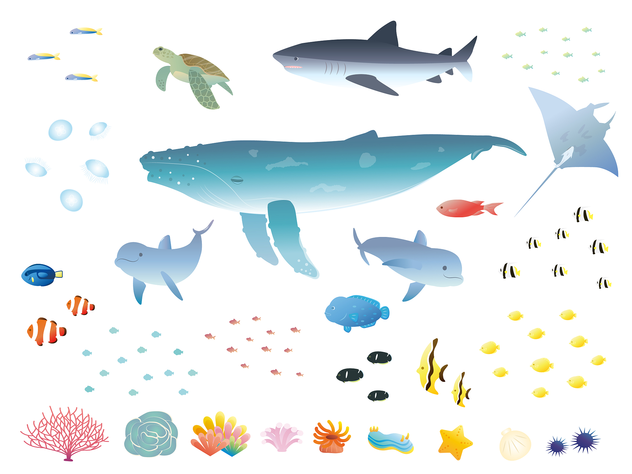 与海洋和地质有关的动物