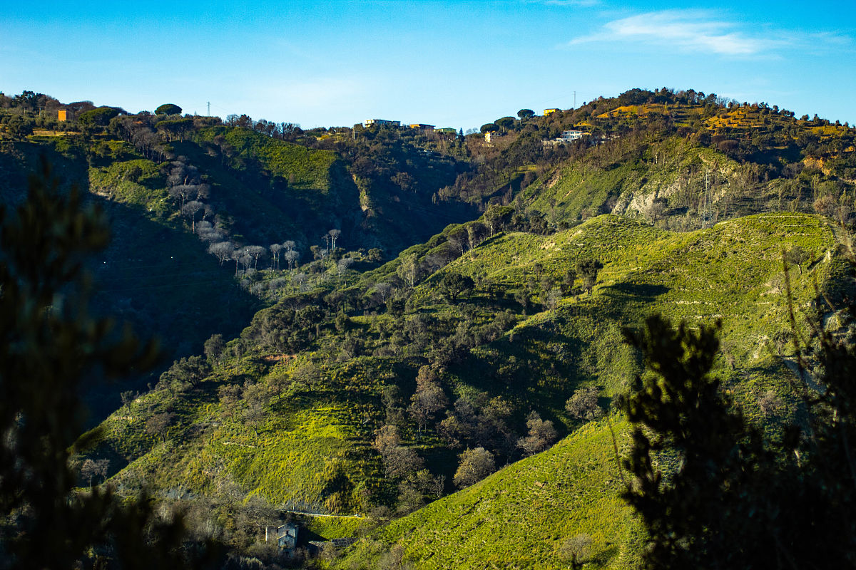 兴隆山植被垂直地带性分布分析：从裸岩到阔叶林