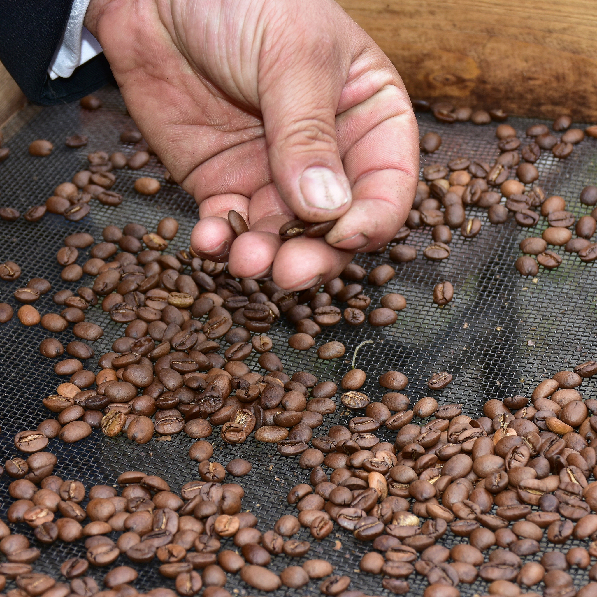 埃塞俄比亚咖啡品种全解析：阿拉比卡、哈拉尔、古里曼德特点与产地