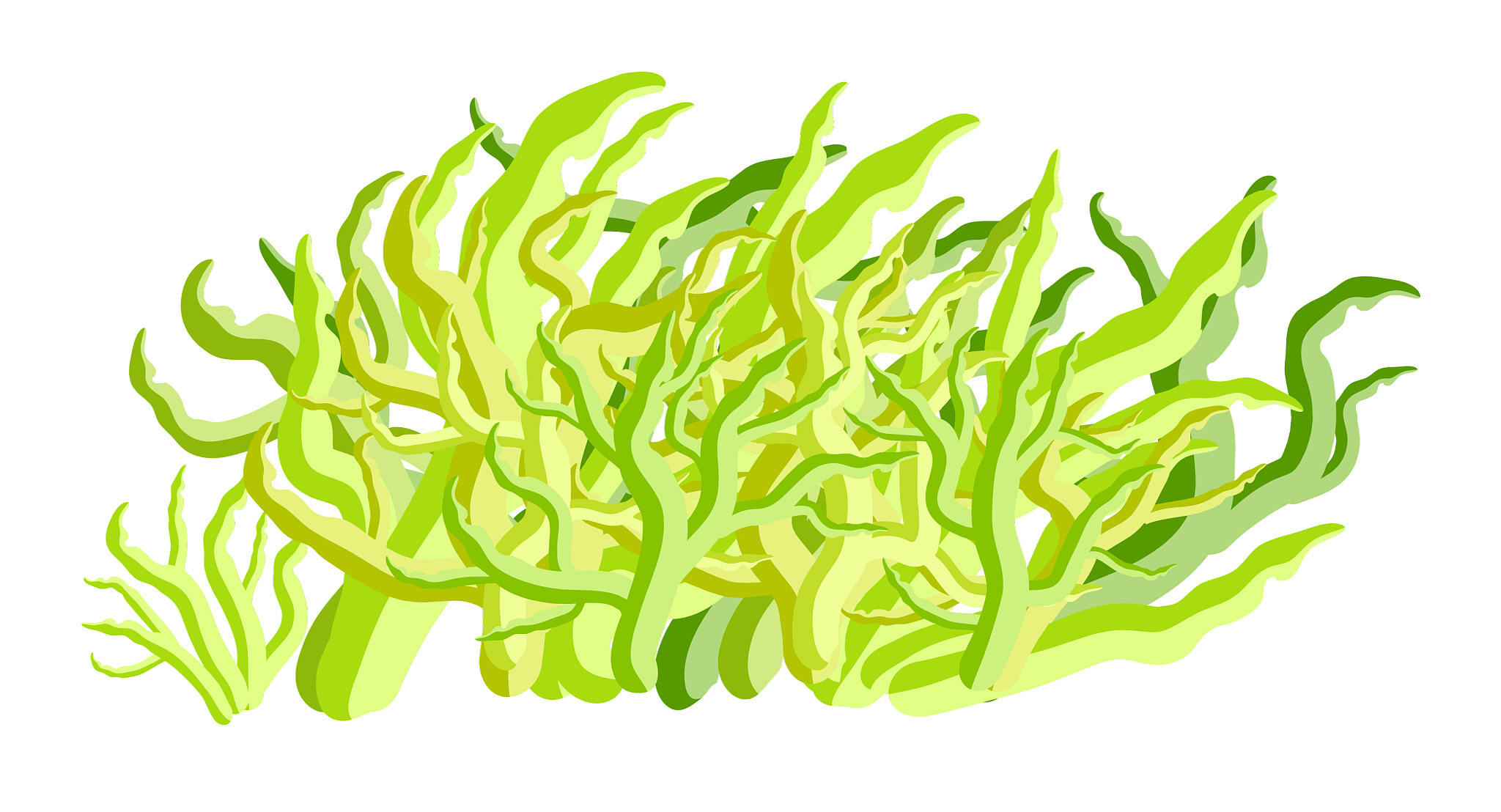 algae symbol icon design beautiful isolated on