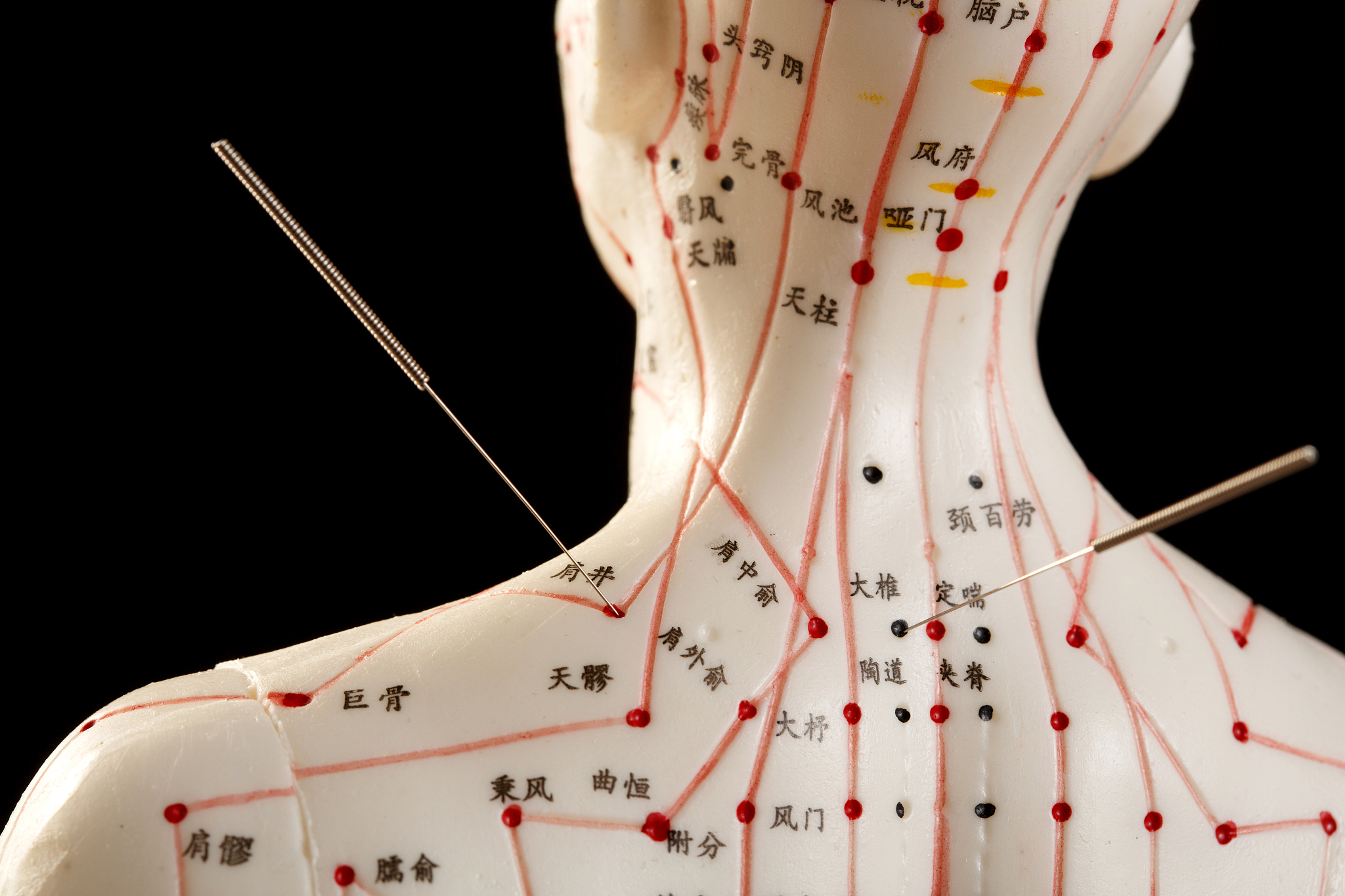 成都中医药大学附属医院针灸学校网站网址