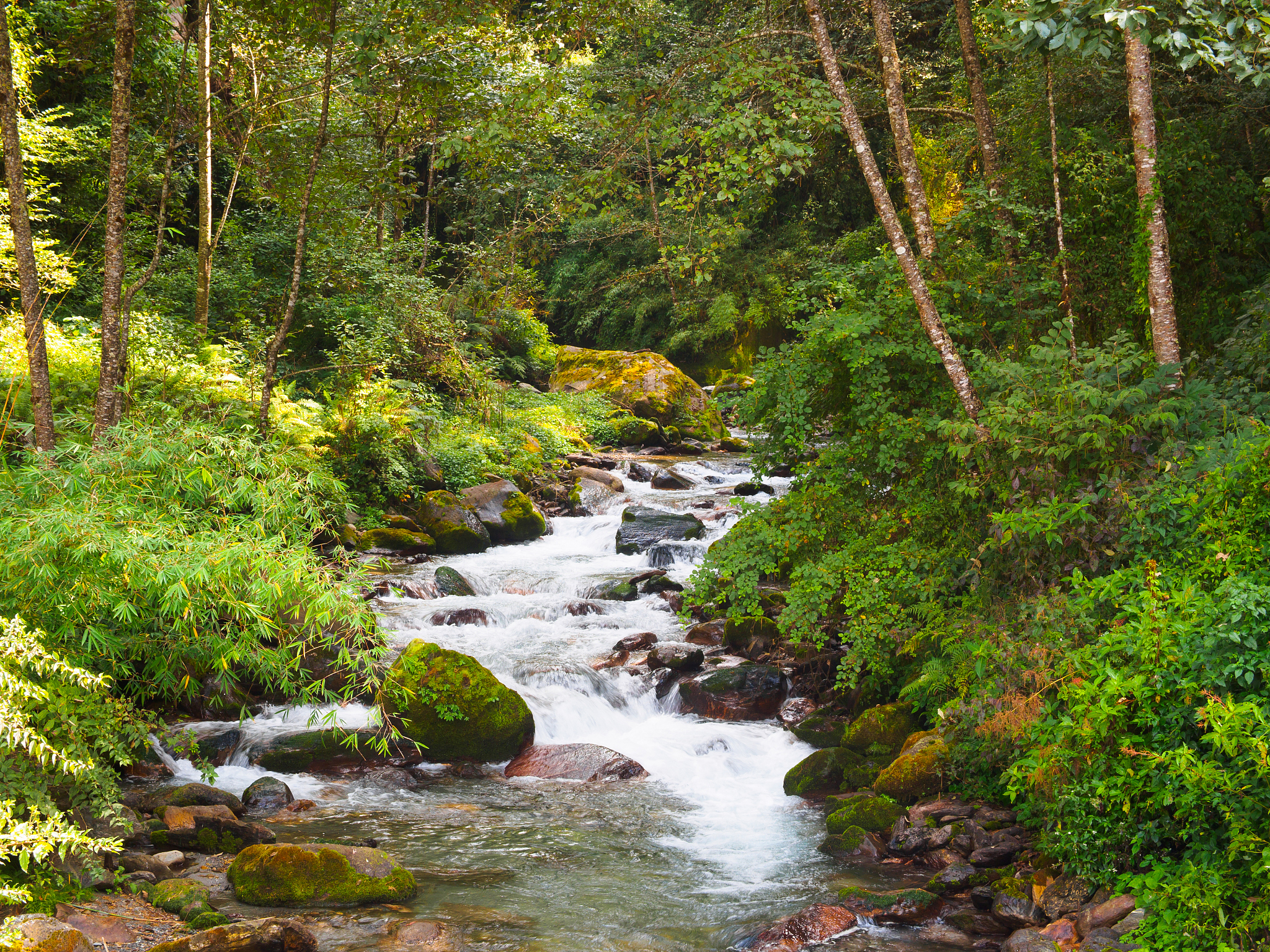 山顶风光：感受大自然的壮阔与平静