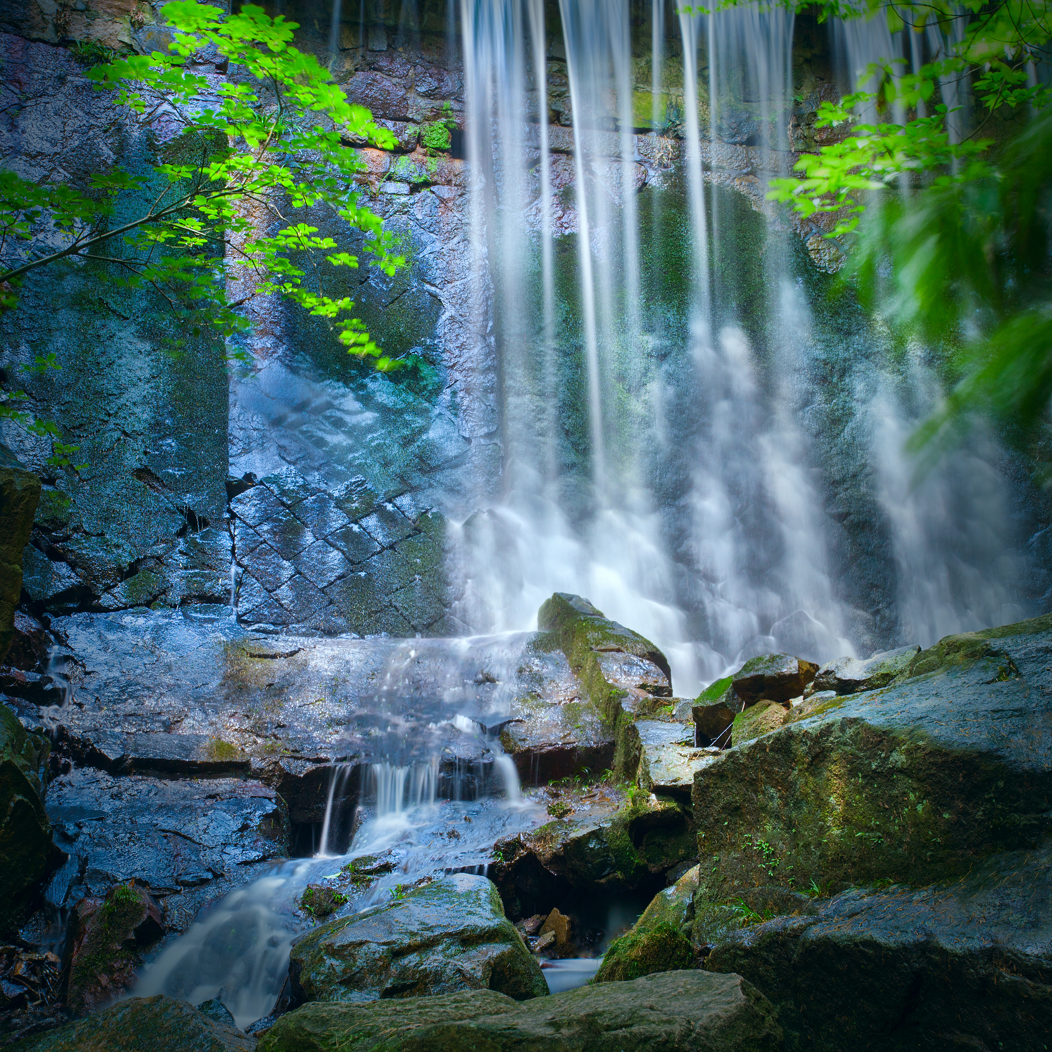浙江旅游职业学院导游专业课程设置详解