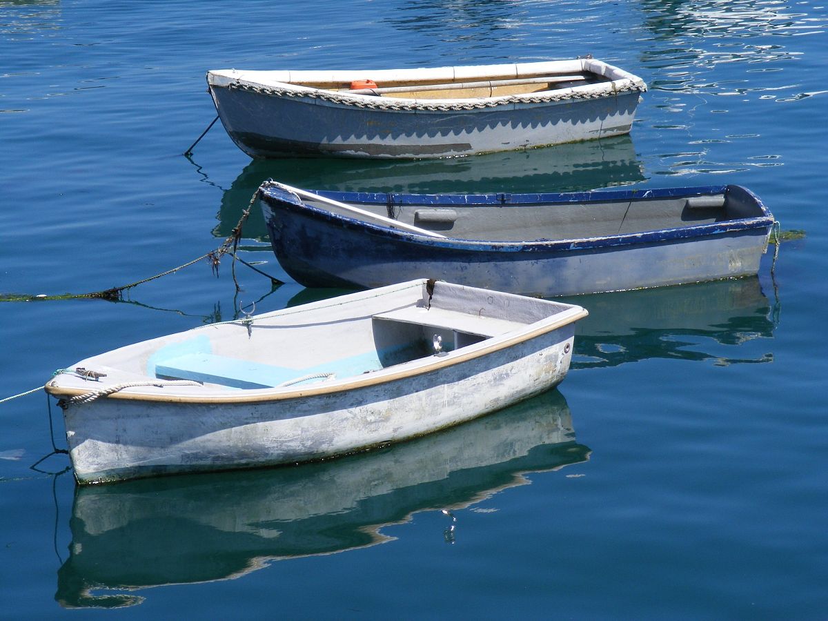 翻译：单帆和双帆