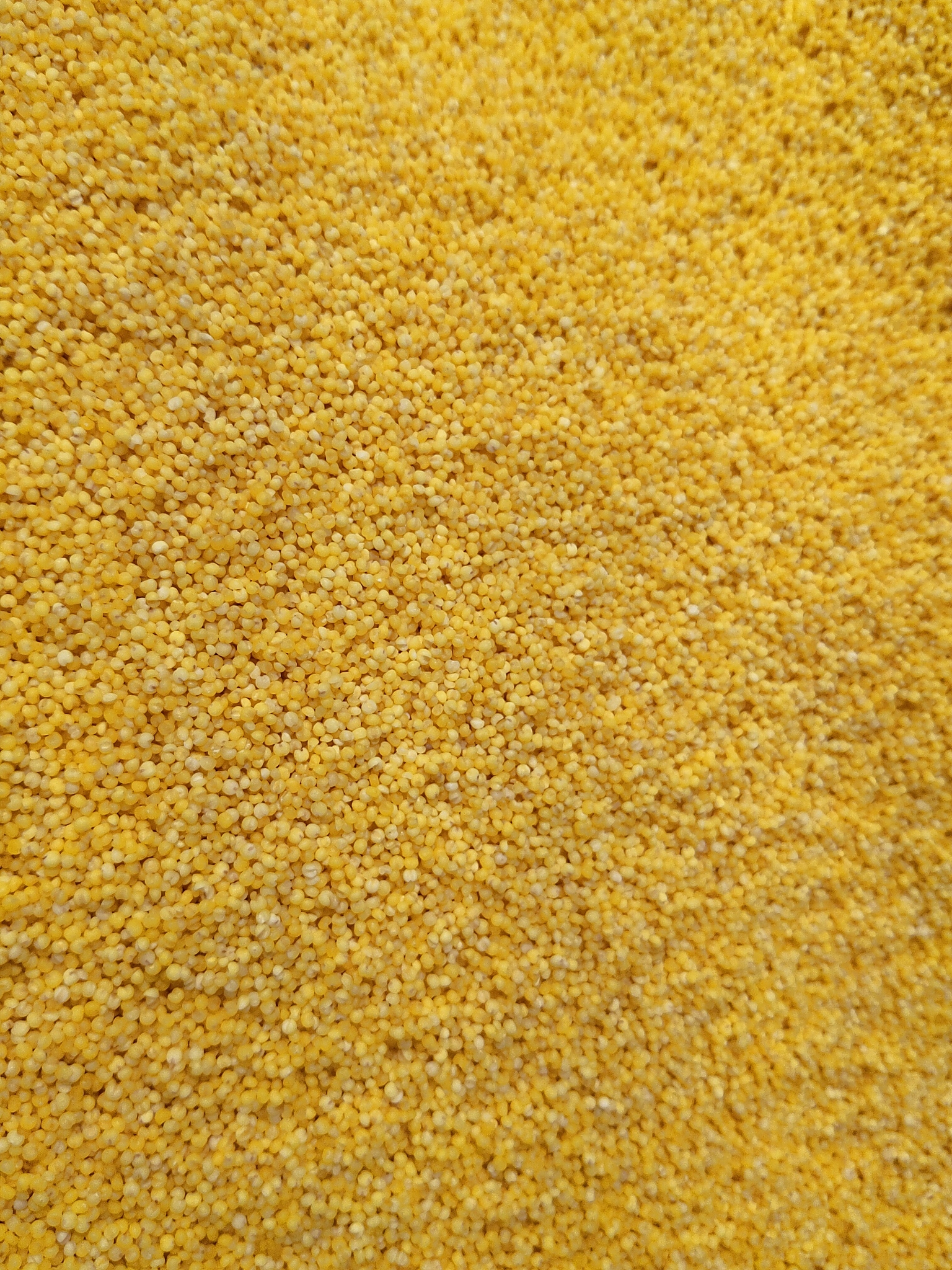 millet