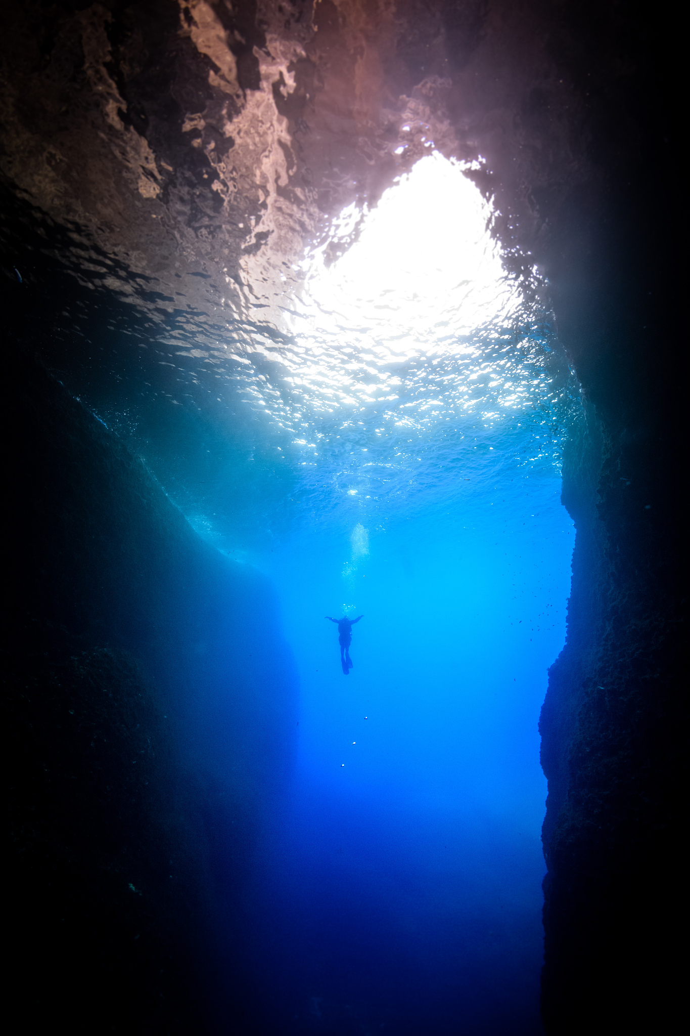 person swimming in sea