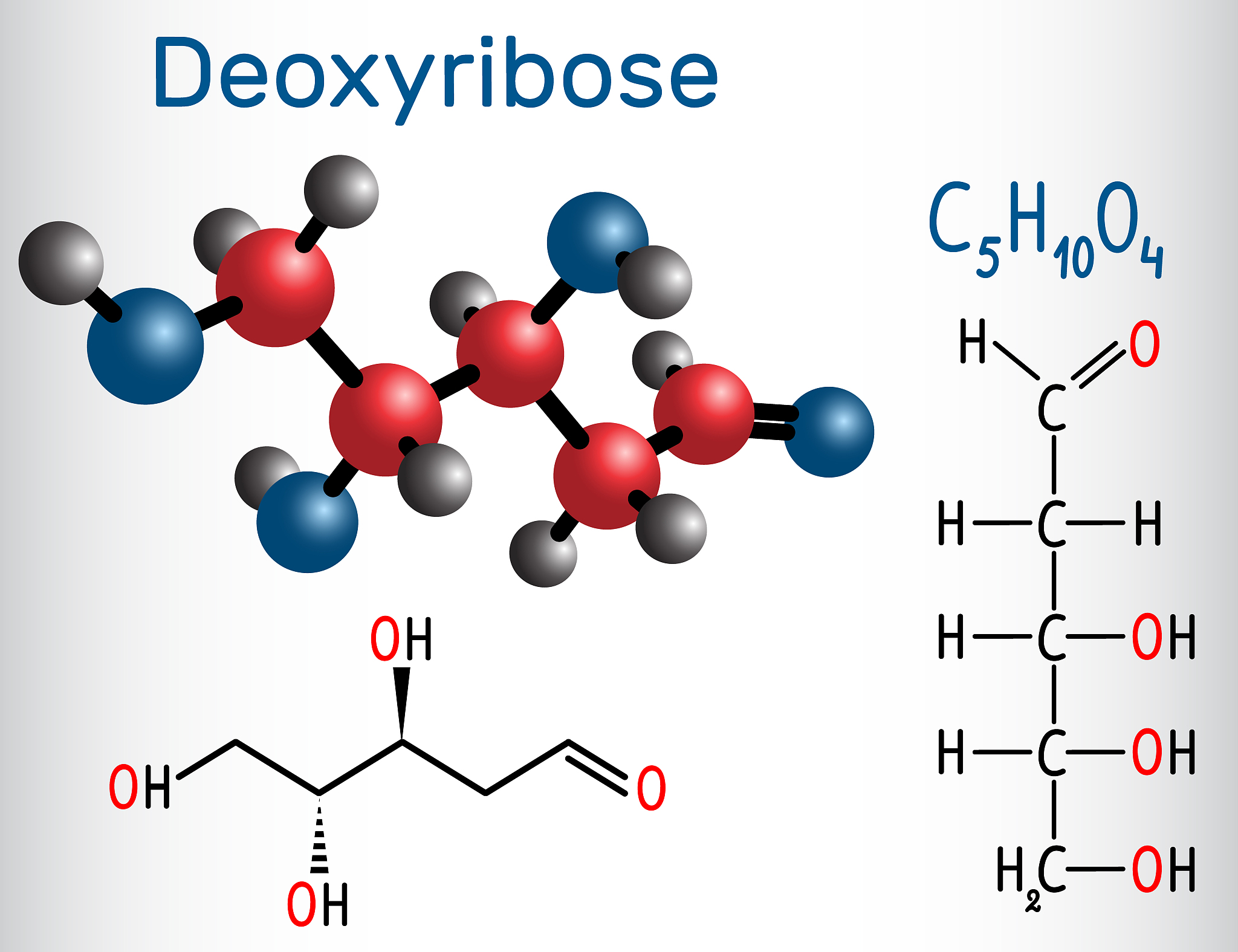 linear form (acyclic) of deoxyribose molecule, it is a monosacch