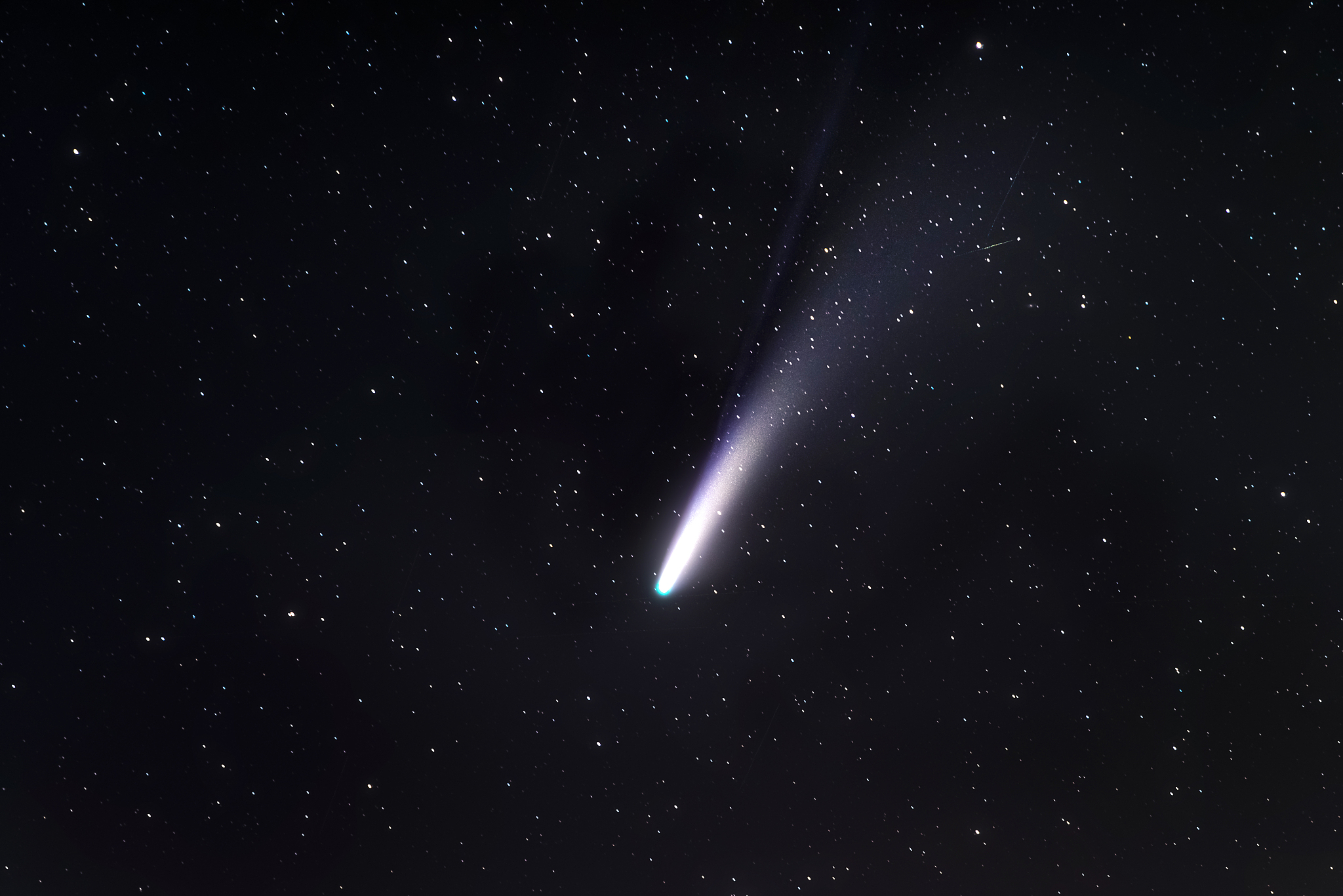 isolated neowise comet