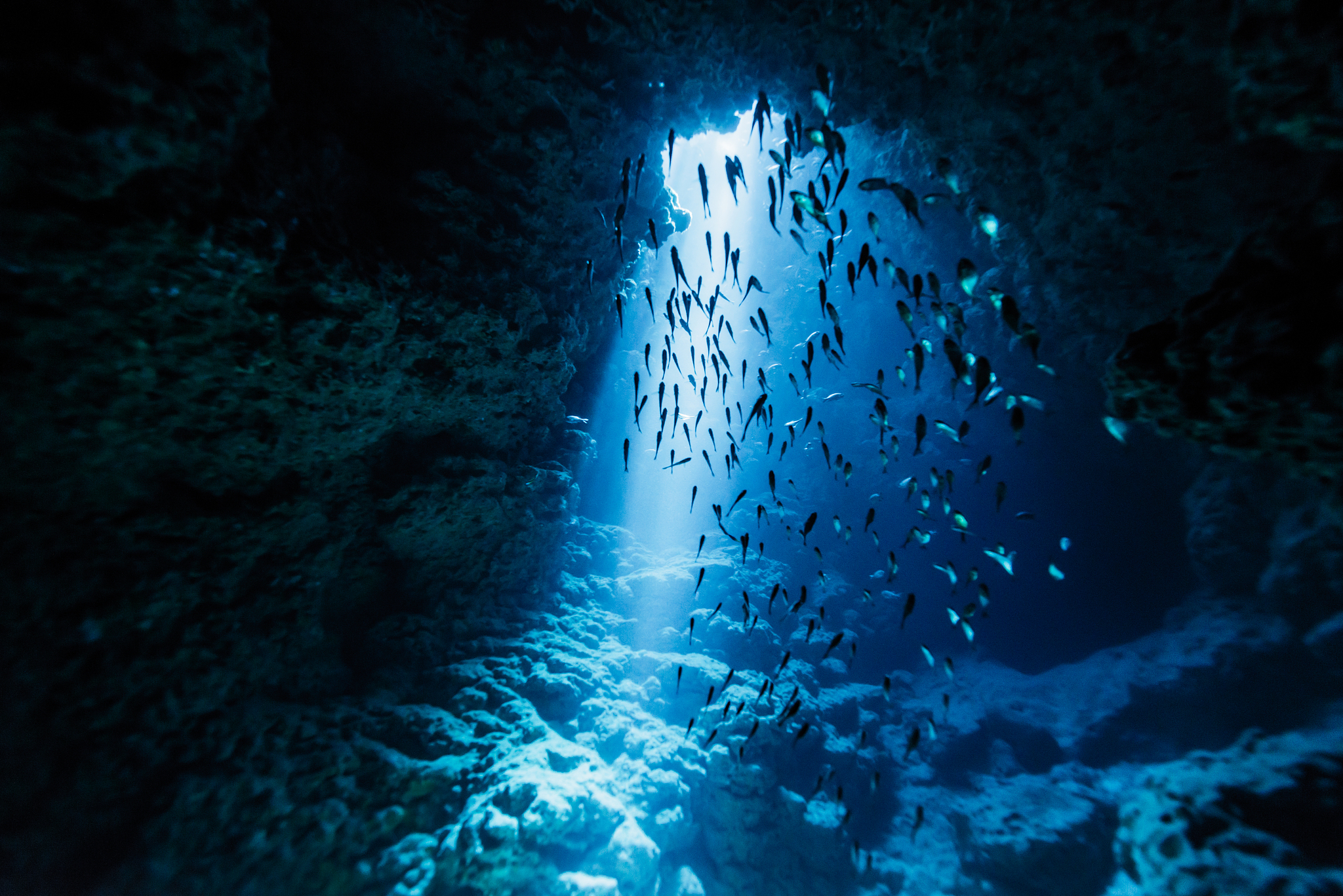 rays of sunlight into the underwater cave