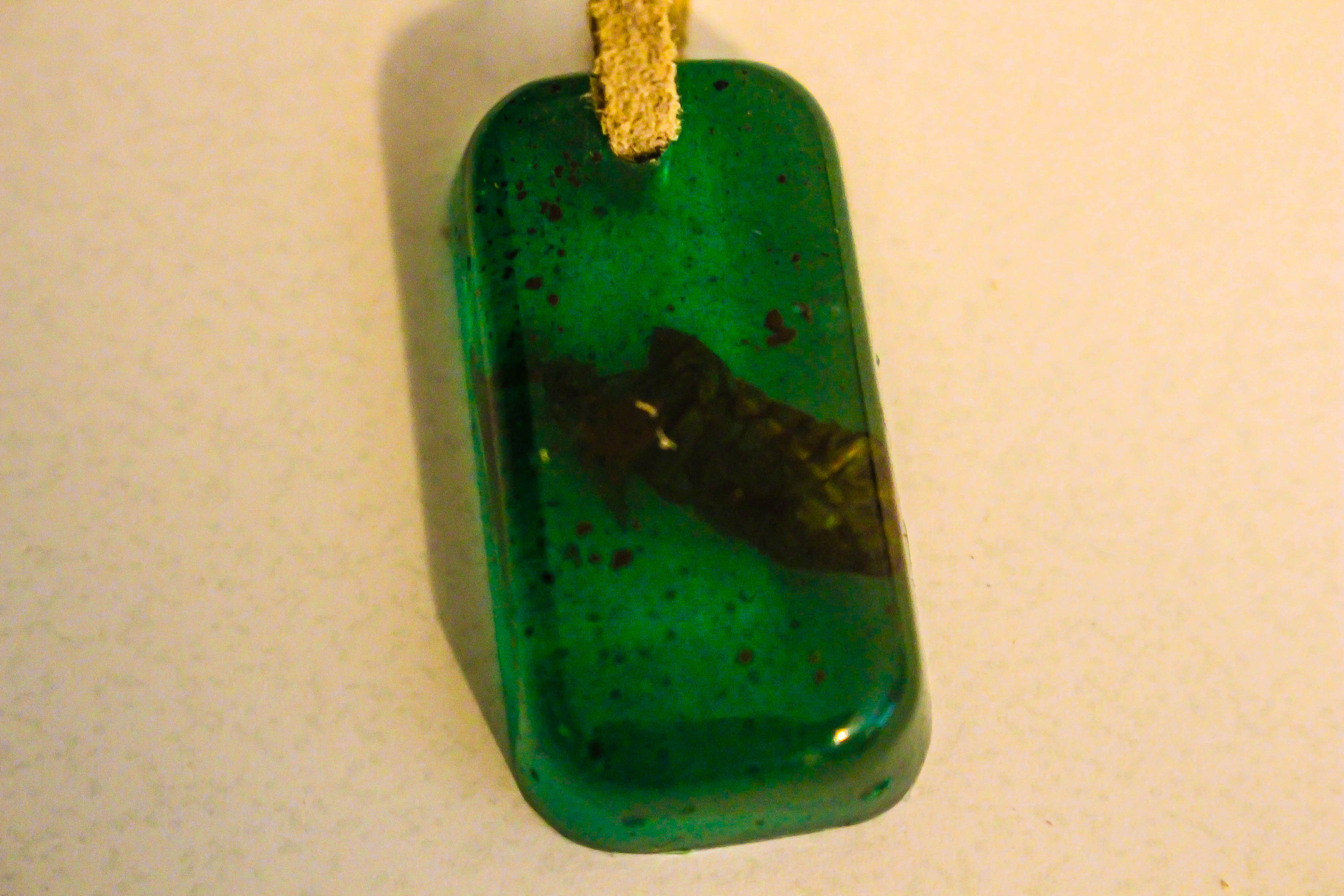 green amber with a shell inside fossil