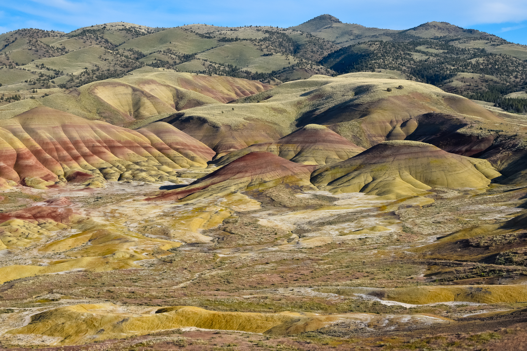 painted view