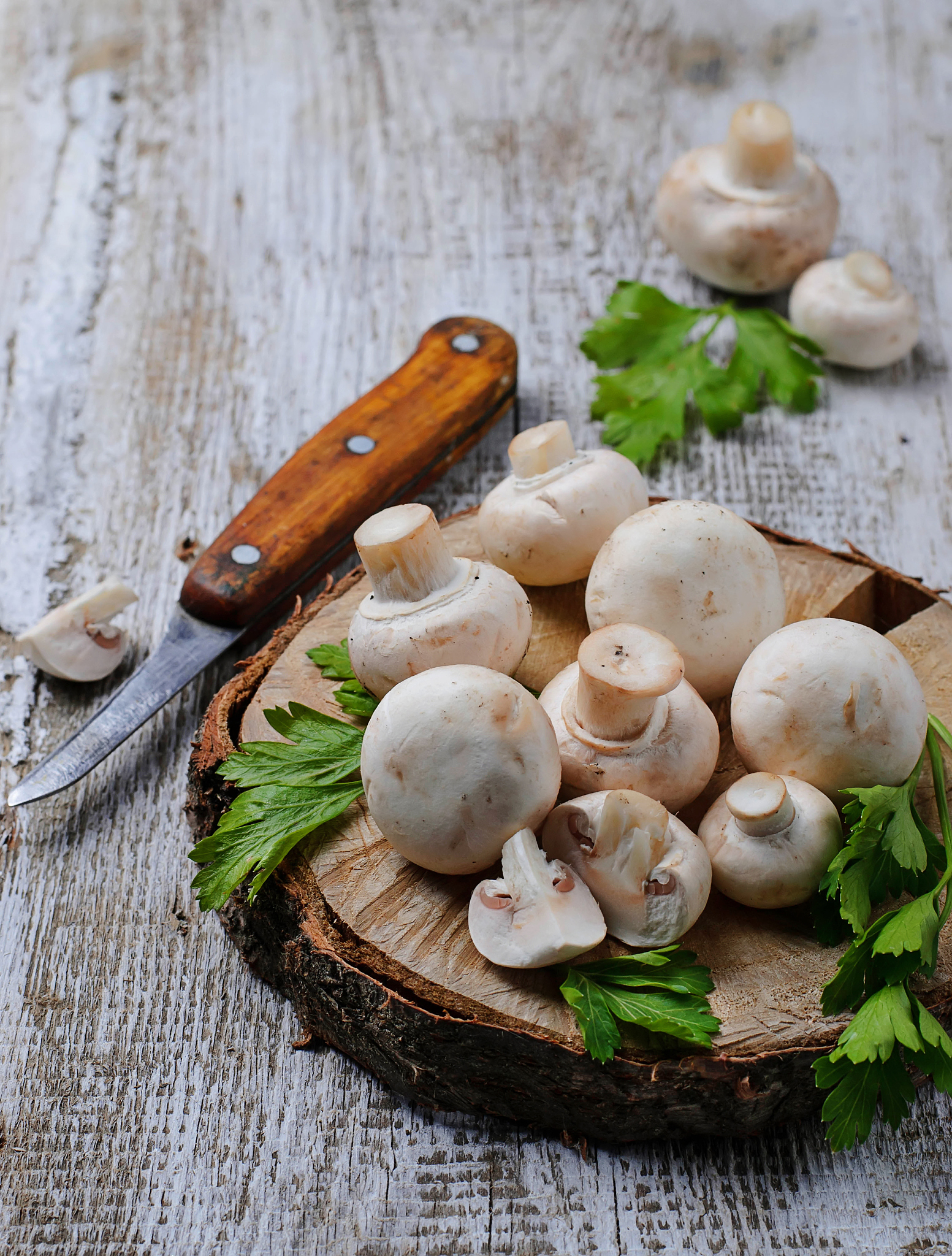 马蹄吱吱墨鱼滑：深海捕捞，Q弹爽滑，美味爆棚！