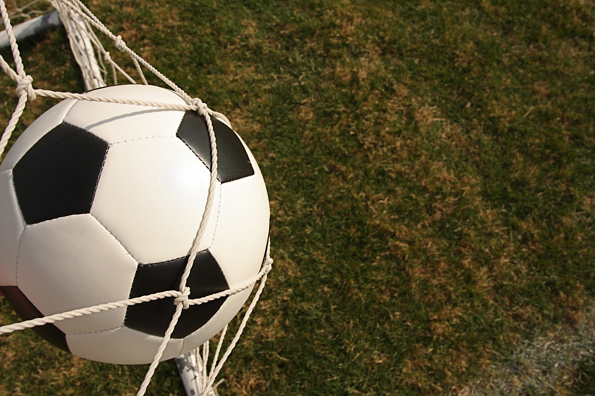 soccer ball in net with room for copy