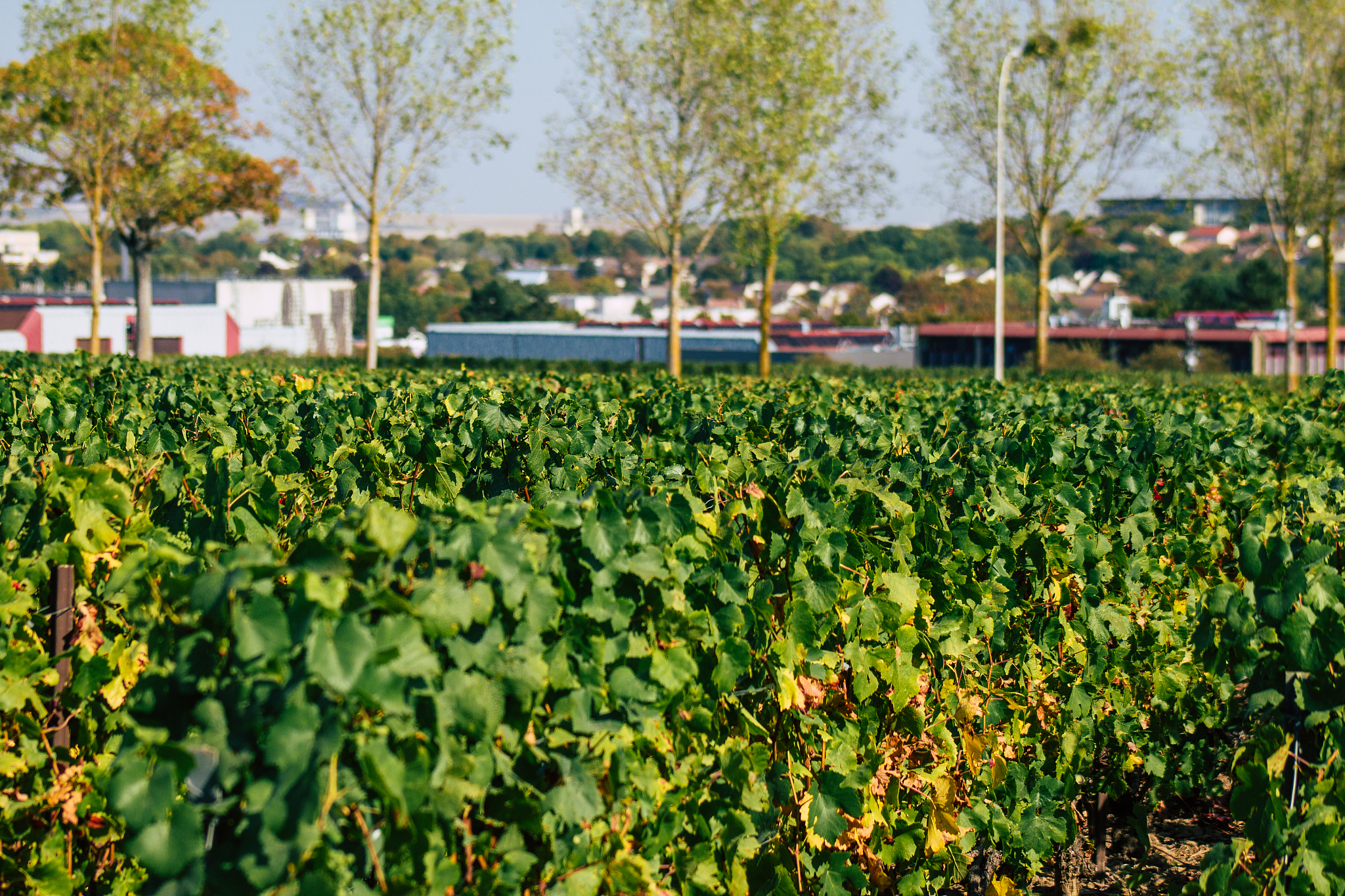平凉农业学校旅游与饭店管理专业怎么样？就业前景分析