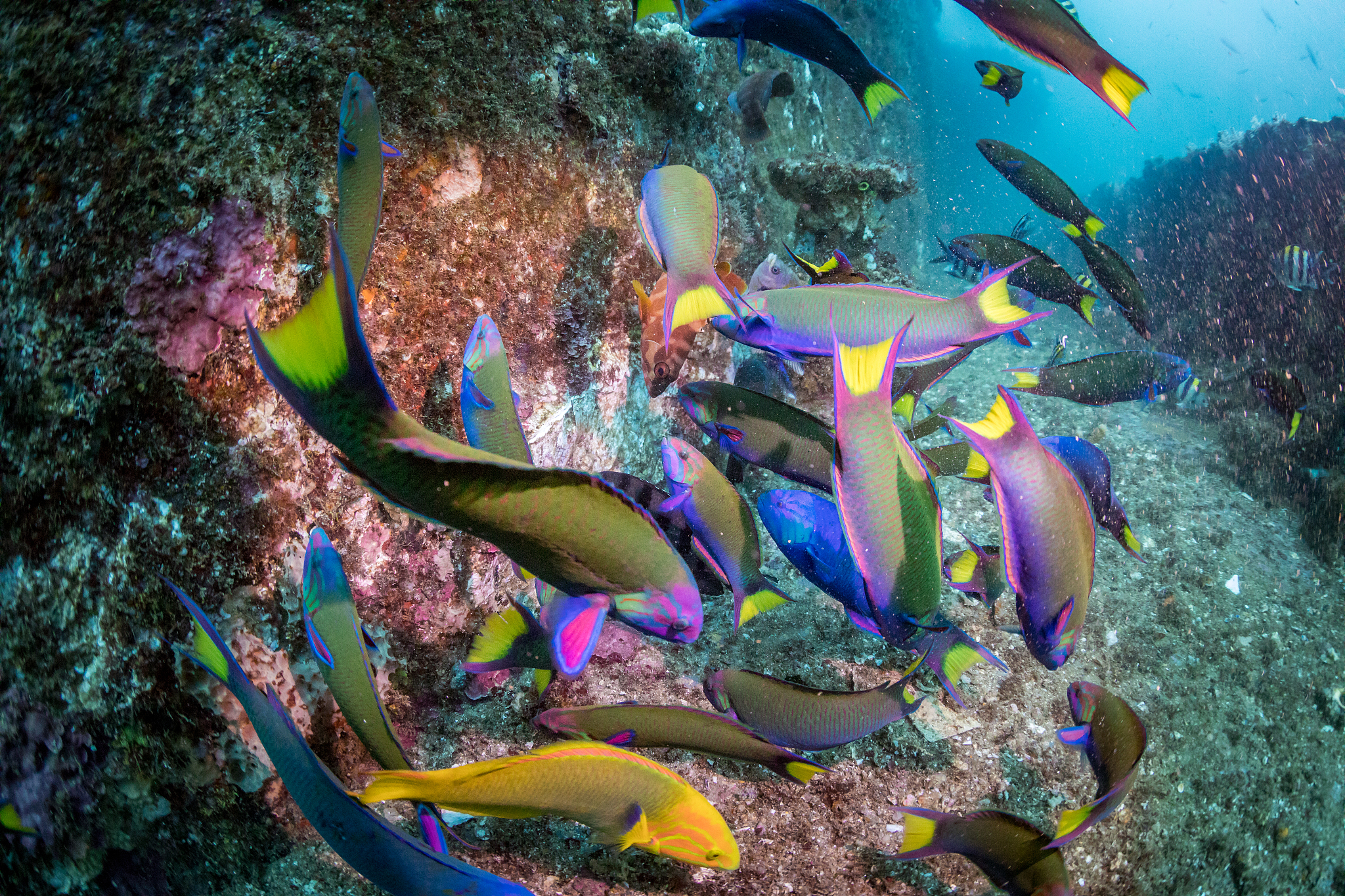 防爆应急灯编号详解：Ex d、Ex e、Ex n等含义