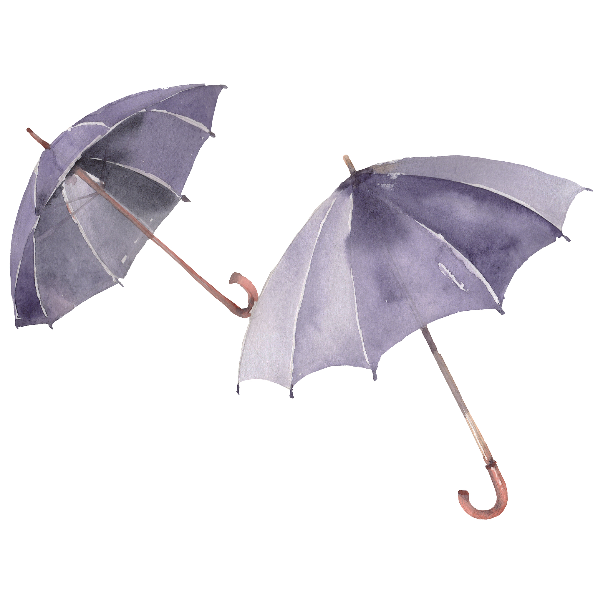 black walking umbrella with a croock wooden handle. watercolor b
