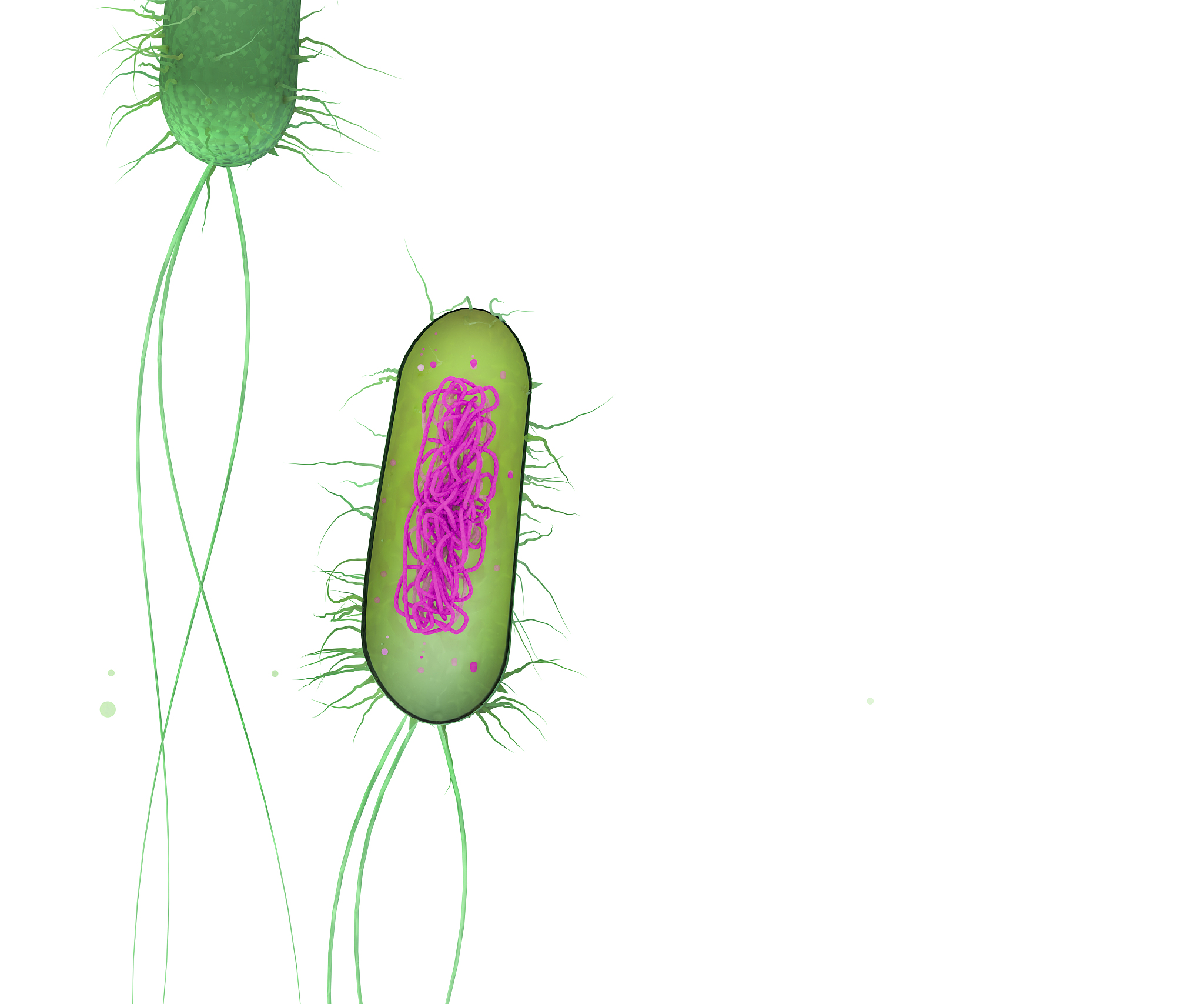 高中生物必修一：生命起源与细胞理论详解