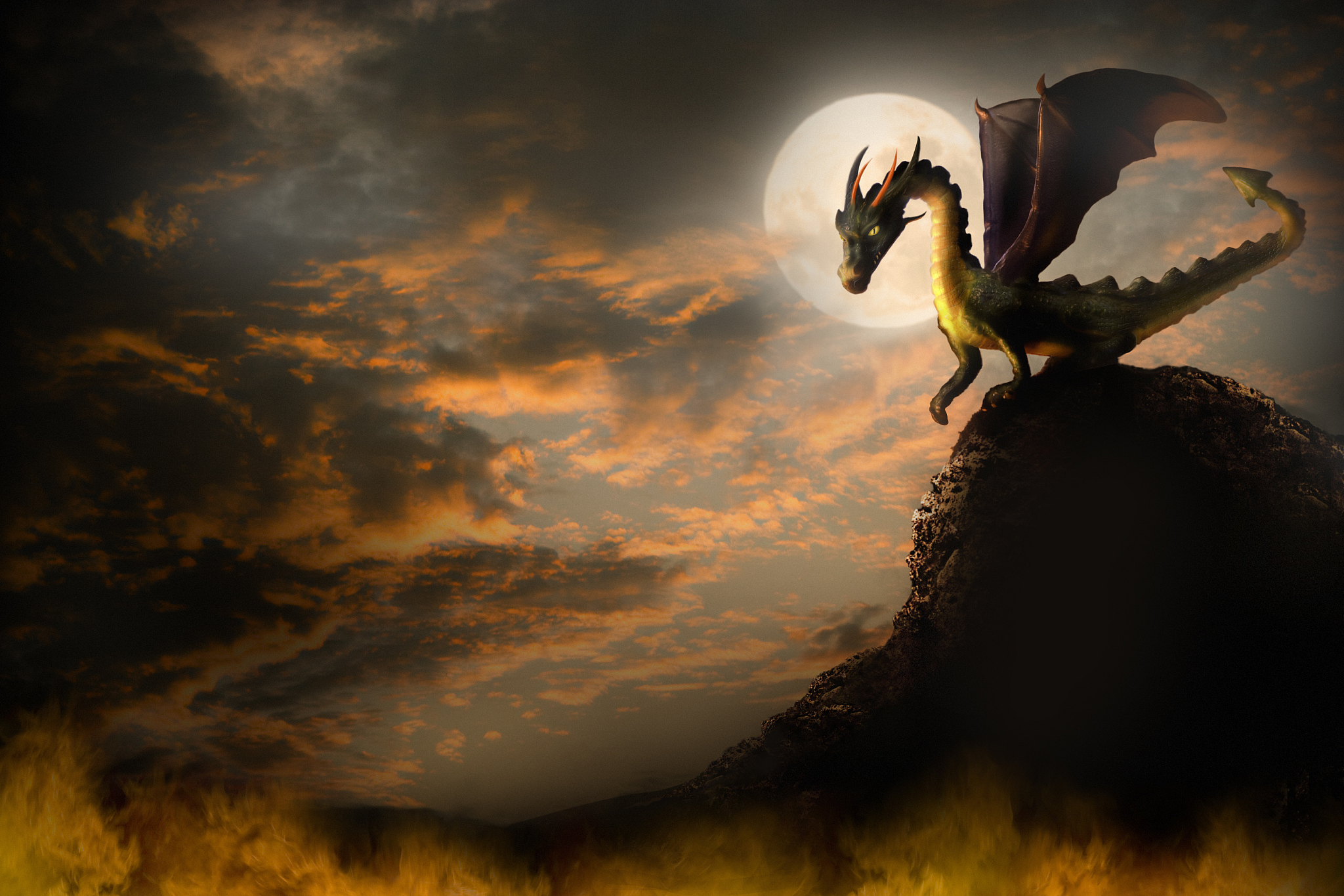 dragon on a rock.