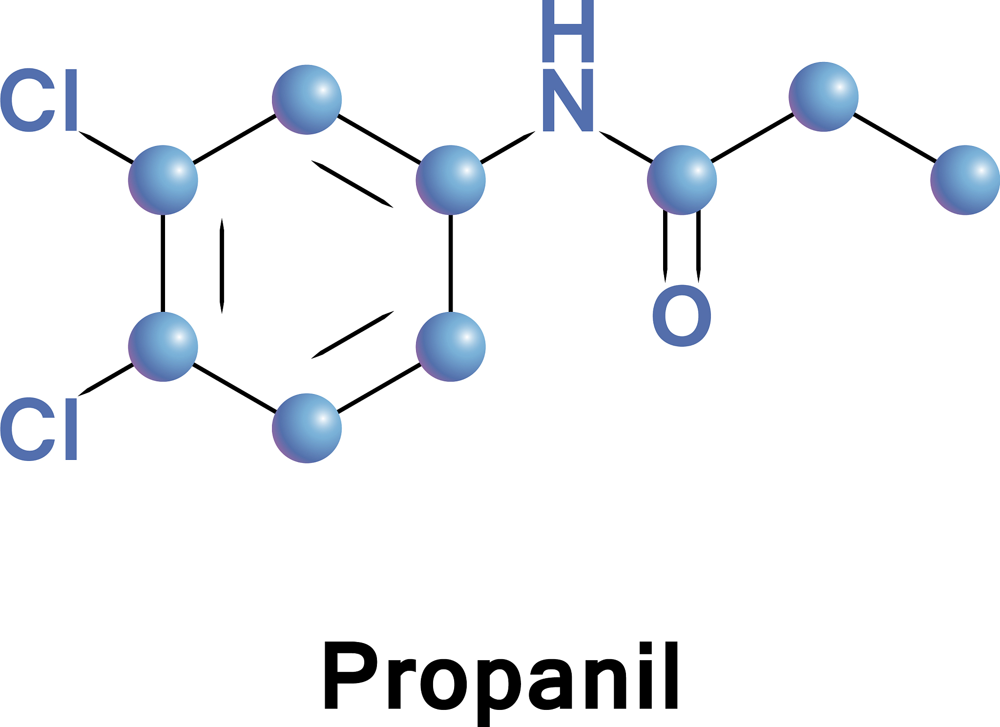 除草剂可以通过阻断植物的代谢和抑制植物生理过程两种途径杀死杂草