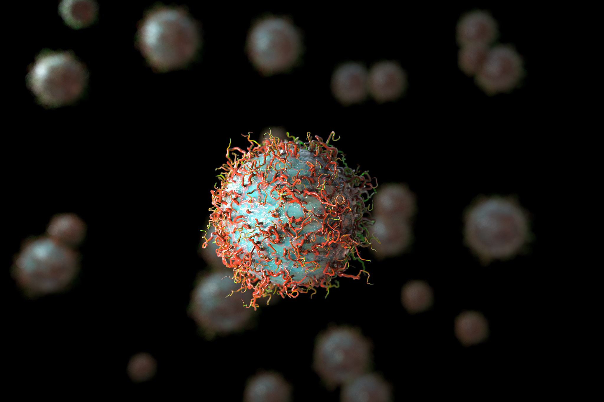 湖南农业大学东方科技学院动植物检疫专业怎么样