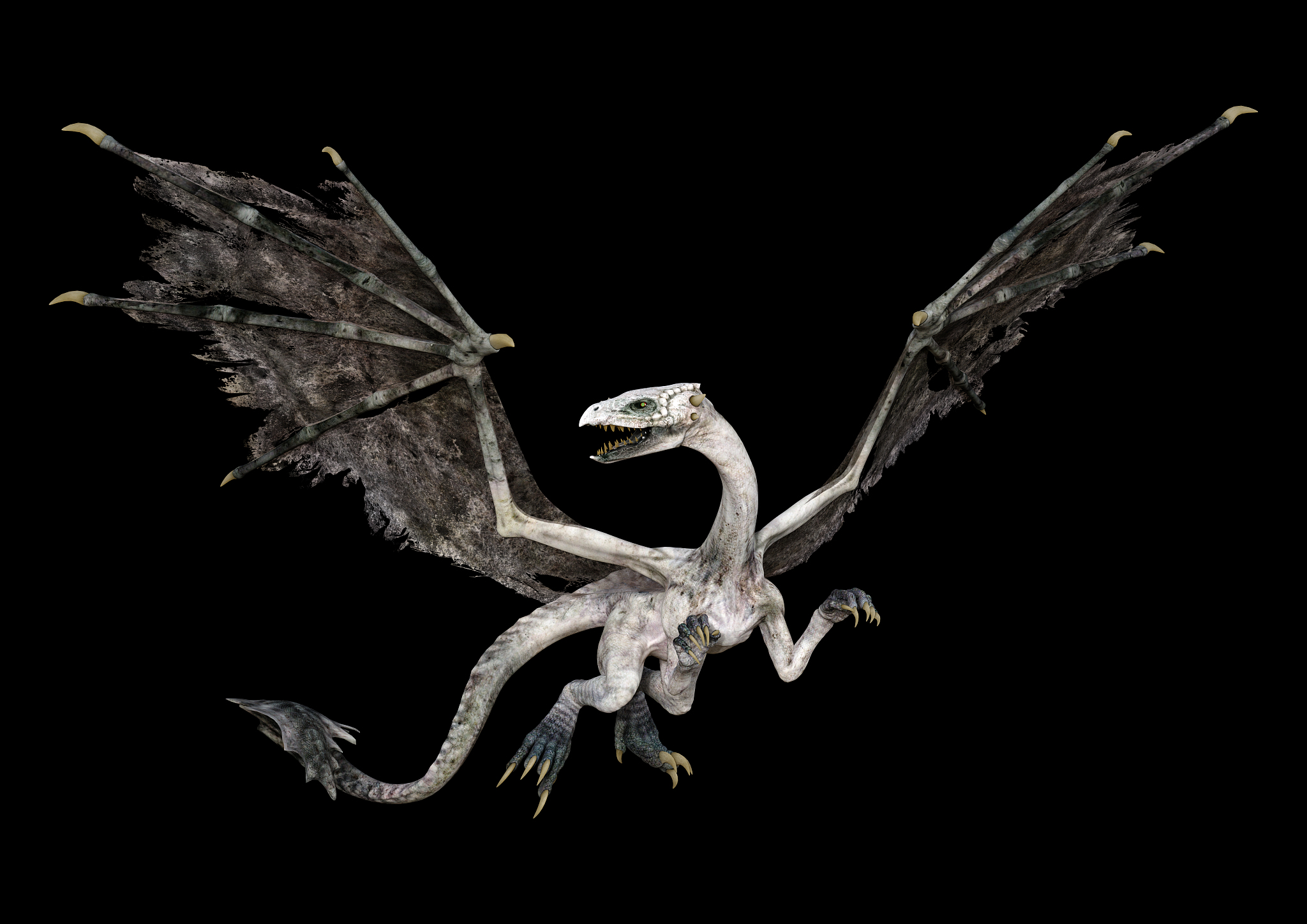 3d illustration fantasy dragon on black