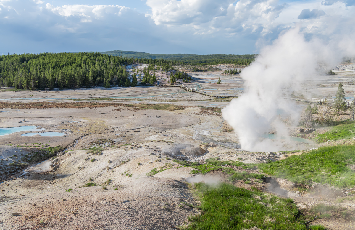 黄石国家公园在19世纪被设为国家公园之后遭遇到了那些环境破坏？