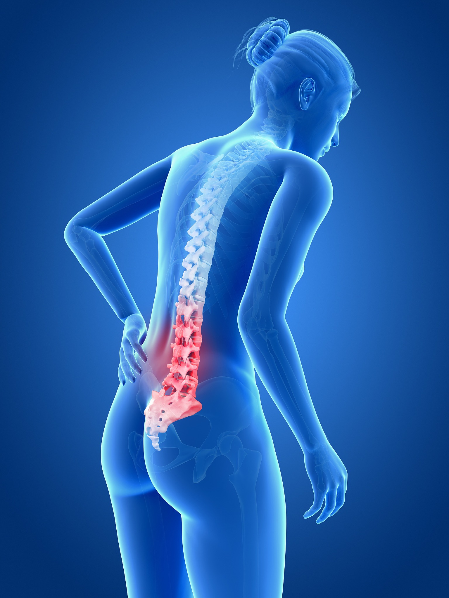 河南农业职业学院生物技术及应用专业就业前景及方向